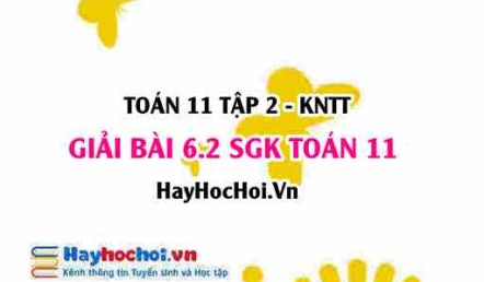 Bài 6.2 SGK Toán 11 Tập 2 Kết nối tri thức